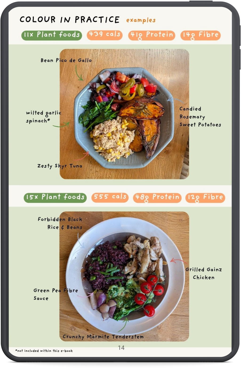 Gains & Gut Health Vol. 1 (E-book)