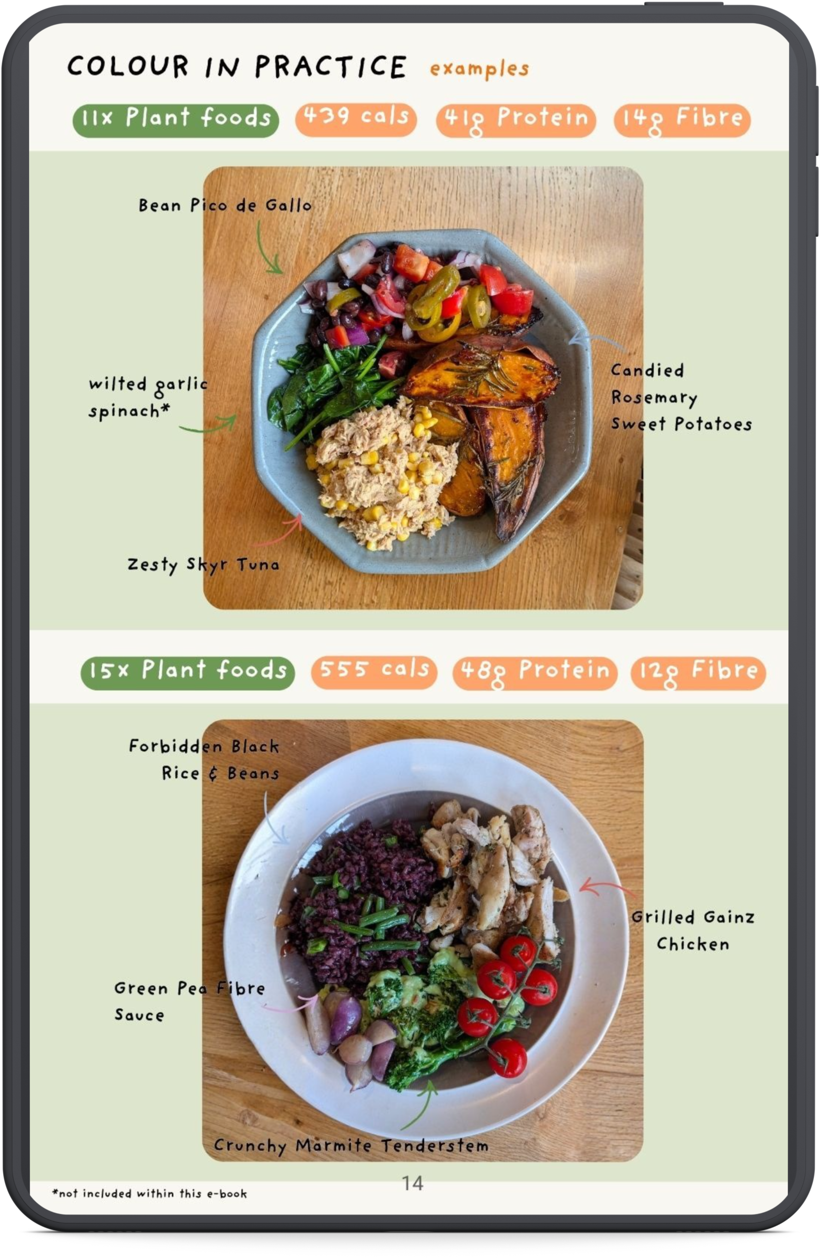 Gains & Gut Health Vol. 1 (E-book)